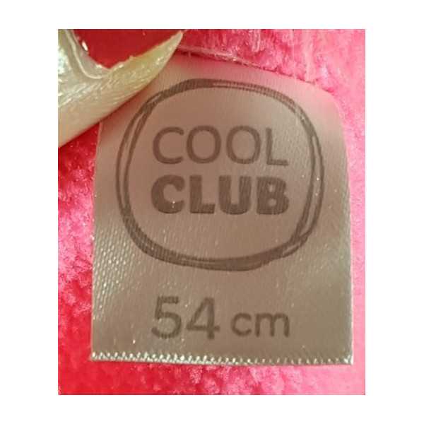 Caciula pufoasa model multicolor cu ciucure COOL CLUB