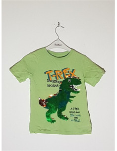 Tricou pentru copii cu imprimeu grafic si un dinozaur H&M