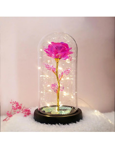 Cupola cu trandafir roz si luminite pentru Valentines Day