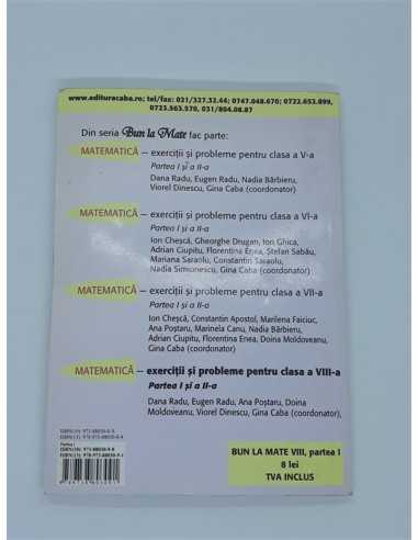 Matematica Exercitii si probleme pentru clasa 8 partea 1 Algebra si Ge
