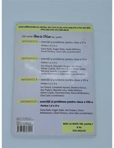 Matematica Exercitii si probleme pentru clasa 8 partea 1 Algebra si Ge