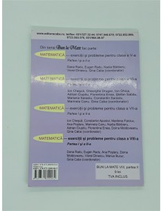 Matematica Exercitii si probleme pentru clasa 8 partea 2 Algebra si 2