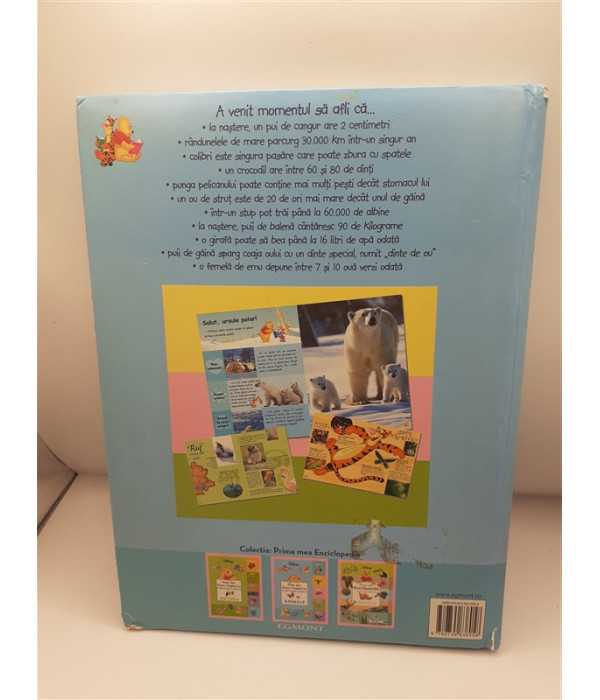 Prima mea Enciclopedie cu Winnie Ursuletul si prietenii sai