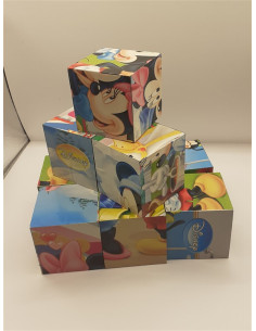 Set 9 cuburi cu imagini Disney