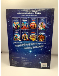 Clubul lui Mickey Mouse Invitatie la picnic 2