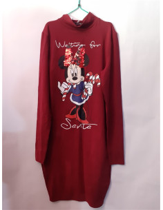 Rochita dama Disney FB Sister