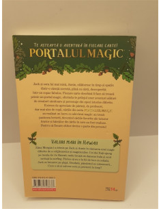 Portalul Magic Valuri mari in Hawaii vol 24 2