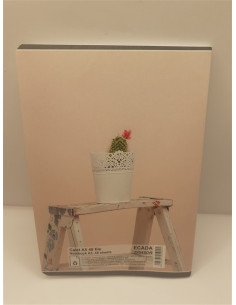 Caiet A5 foaie velina 48 file model cactus Ecada 2