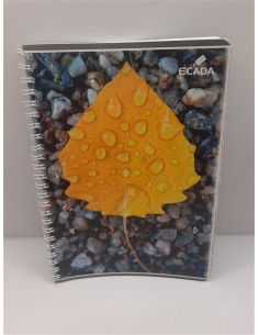 Caiet cu spirala matematica A5 80 file model frunza Ecada