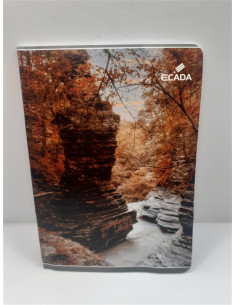Caiet A5 dictando 48 file model toamna Ecada