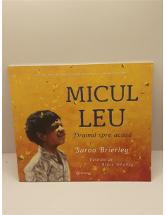 Micul leu Drumul spre acasa