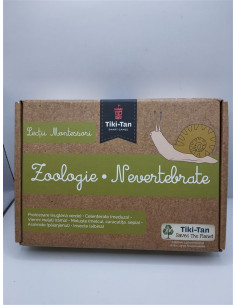 Lectii Montessori - Zoologie Nevertebrate
