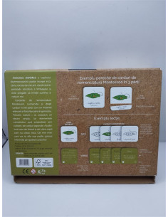 Lectii Montessori - Zoologie Nevertebrate 2