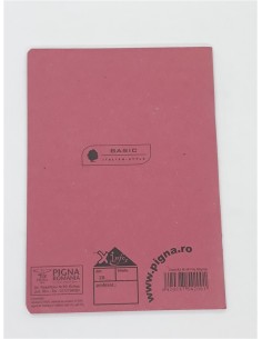 Caiet matematica A5 48 file PIGNA Basic roz 2