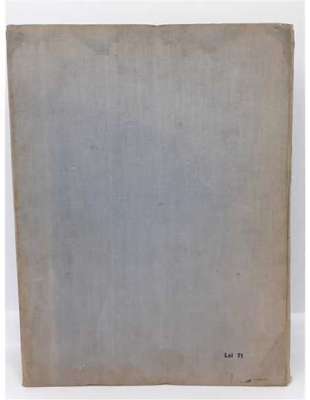 Dictionarul limbii romane moderne