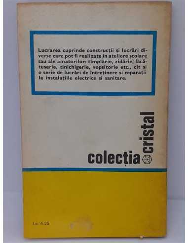 Mesterul casei Viorel Raducu