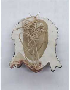 Figurina cap indian 2