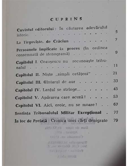 Procesul Ceausestilor