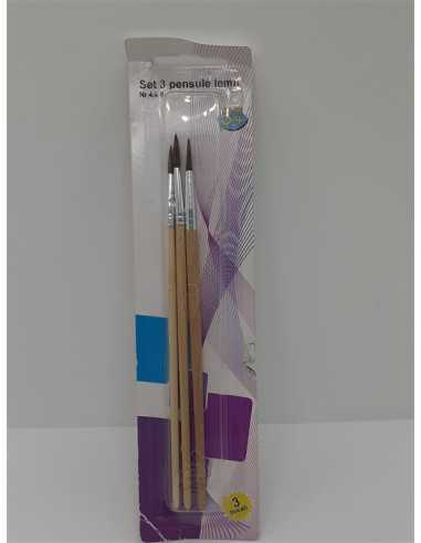 Set 3 pensule pentru pictat cu codita din lemn