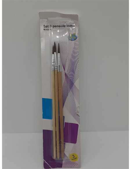 Set 3 pensule pentru pictat cu codita din lemn Set 3 pensule pentru pictat cu codita din lemn