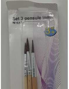 Set 3 pensule pentru pictat cu codita din lemn 2