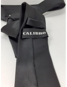 Cravata lucioasa pentru barbati Calibro 2